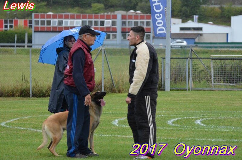 2017-oyo-lewis def.jpg